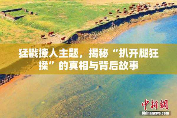 猛戳撩人主题，揭秘“扒开腿狂揉”的真相与背后故事