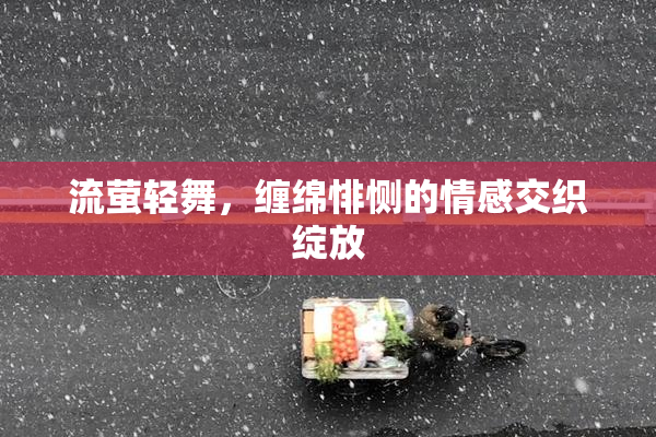 流萤轻舞，缠绵悱恻的情感交织绽放