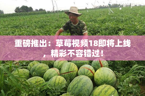 重磅推出：草莓视频18即将上线，精彩不容错过！