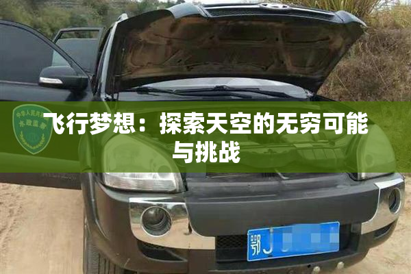 飞行梦想：探索天空的无穷可能与挑战