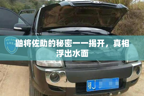 鼬将佐助的秘密一一揭开，真相浮出水面
