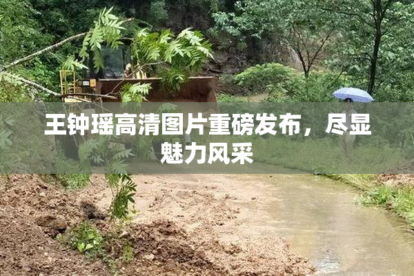 王钟瑶高清图片重磅发布，尽显魅力风采