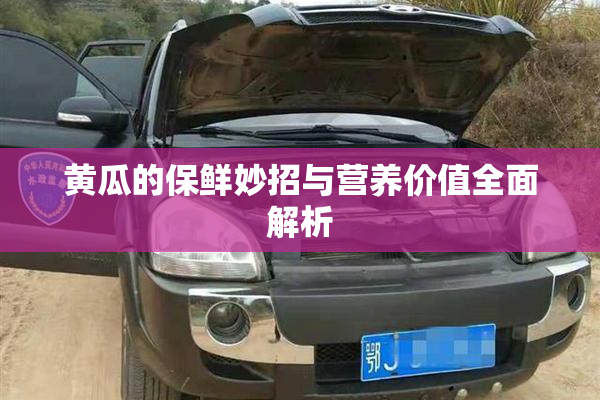 黄瓜的保鲜妙招与营养价值全面解析