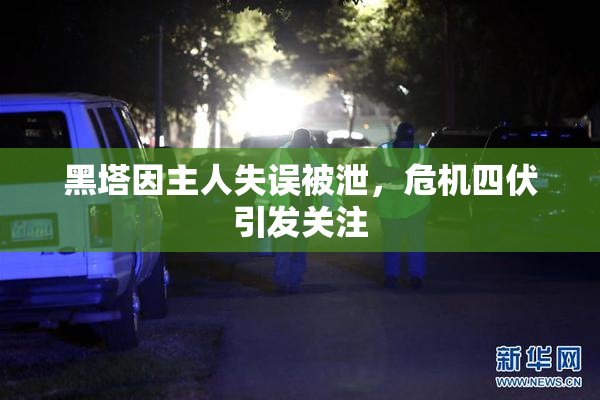 黑塔因主人失误被泄，危机四伏引发关注