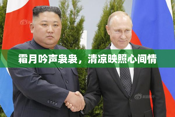 霜月吟声袅袅，清凉映照心间情
