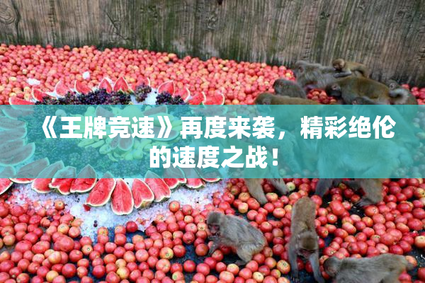 《王牌竞速》再度来袭，精彩绝伦的速度之战！