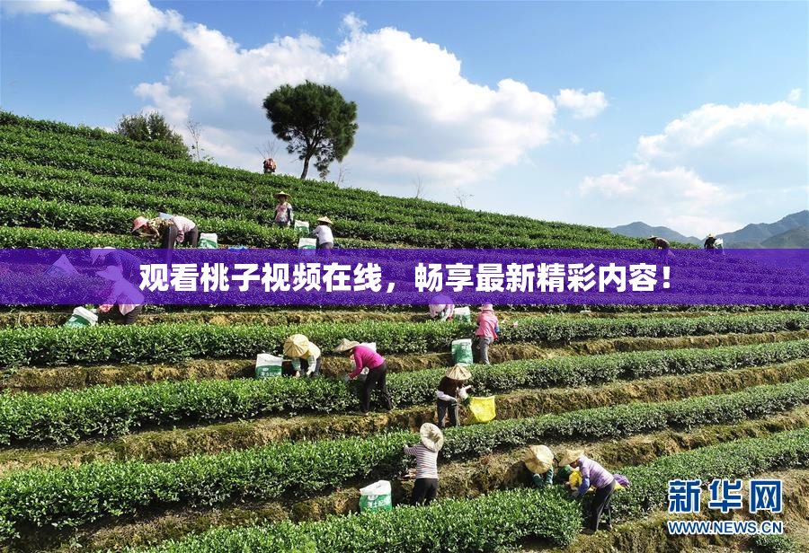 观看桃子视频在线，畅享最新精彩内容！