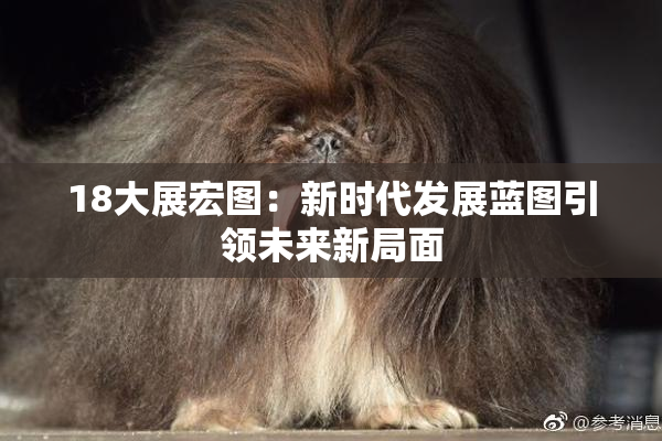 18大展宏图：新时代发展蓝图引领未来新局面