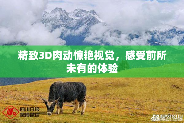 精致3D肉动惊艳视觉，感受前所未有的体验