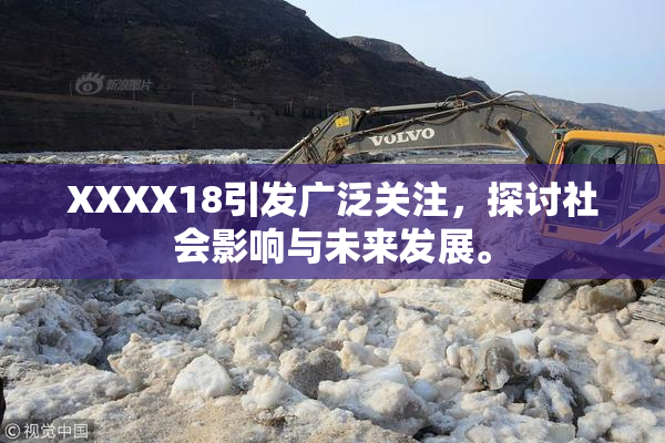 XXXX18引发广泛关注，探讨社会影响与未来发展。