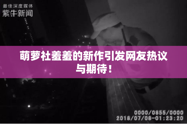 萌萝社羞羞的新作引发网友热议与期待！
