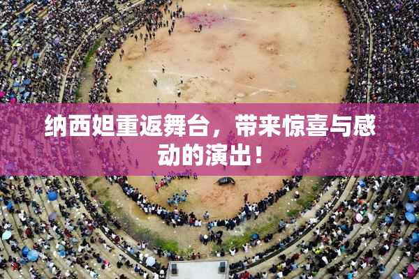 纳西妲重返舞台，带来惊喜与感动的演出！