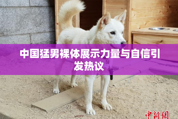 中国猛男裸体展示力量与自信引发热议