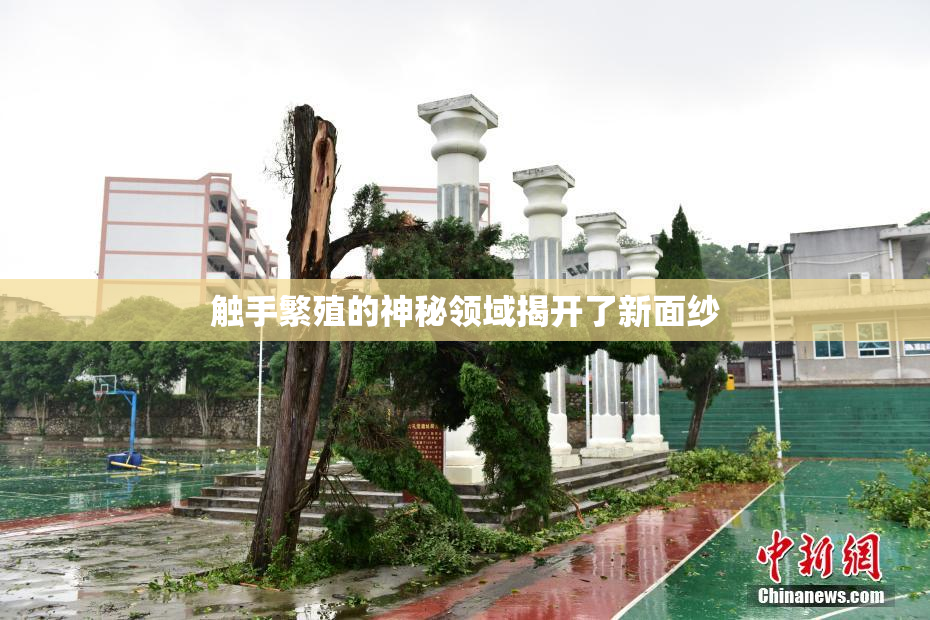 触手繁殖的神秘领域揭开了新面纱