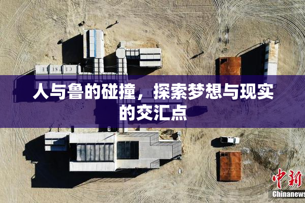人与鲁的碰撞，探索梦想与现实的交汇点