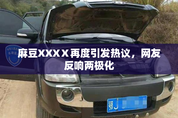 麻豆XXXⅩ再度引发热议，网友反响两极化