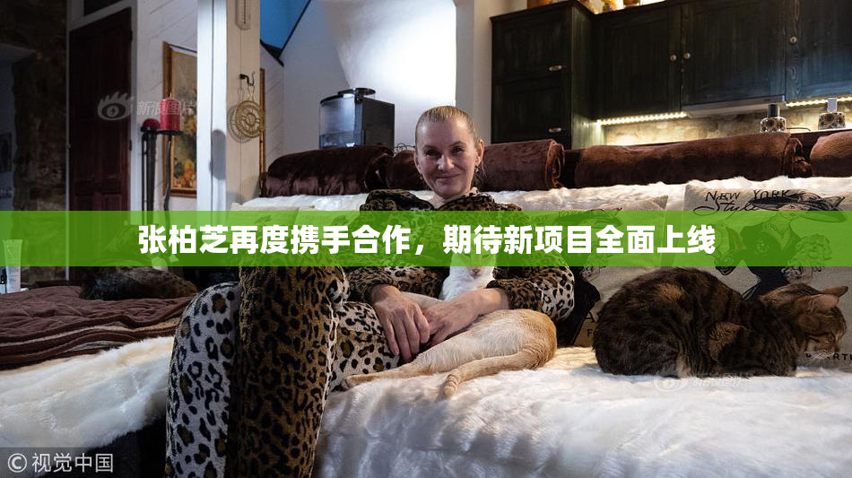 张柏芝再度携手合作，期待新项目全面上线