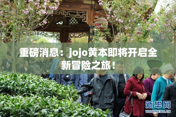 重磅消息：jojo黄本即将开启全新冒险之旅！