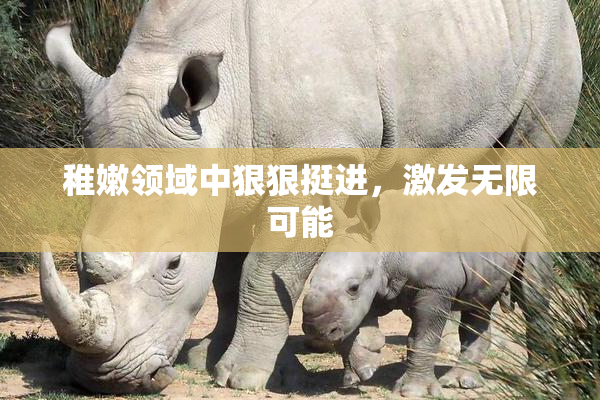 稚嫩领域中狠狠挺进，激发无限可能