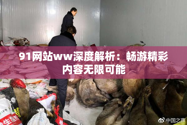 91网站ww深度解析：畅游精彩内容无限可能