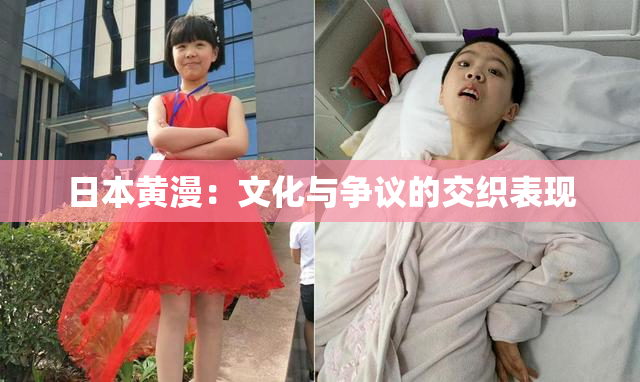 日本黄漫：文化与争议的交织表现