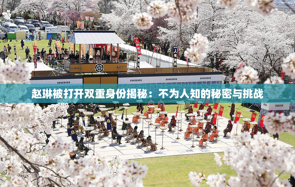 赵琳被打开双重身份揭秘：不为人知的秘密与挑战