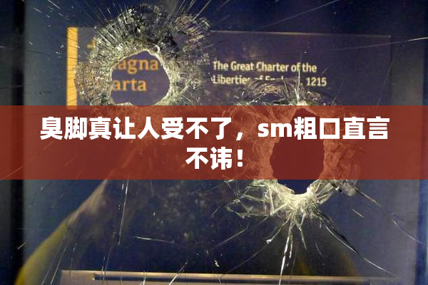 臭脚真让人受不了，sm粗口直言不讳！