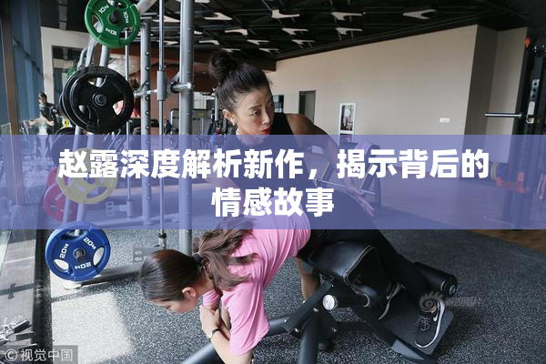 赵露深度解析新作，揭示背后的情感故事