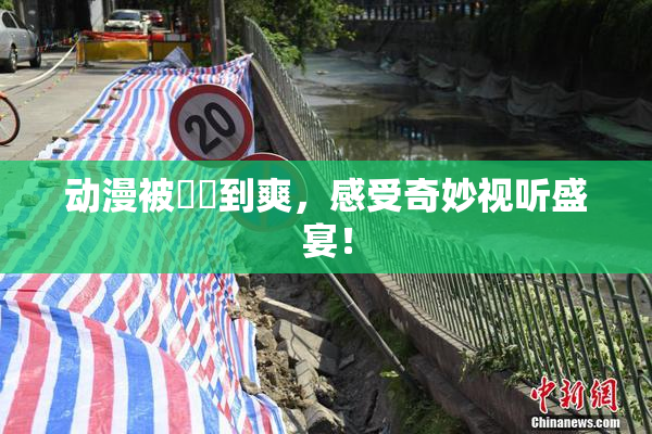 动漫被❌‌到爽，感受奇妙视听盛宴！