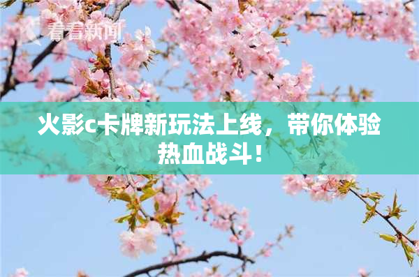 火影c卡牌新玩法上线，带你体验热血战斗！