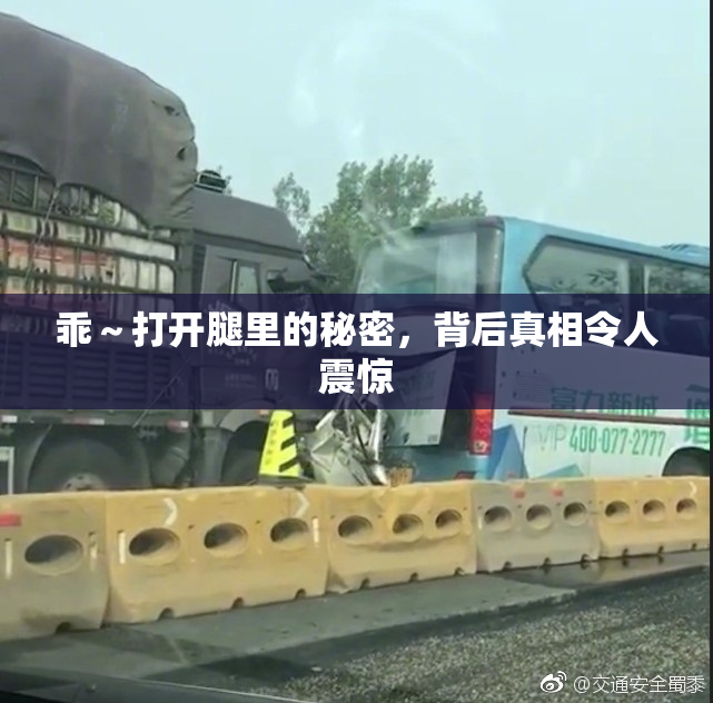 乖～打开腿里的秘密，背后真相令人震惊