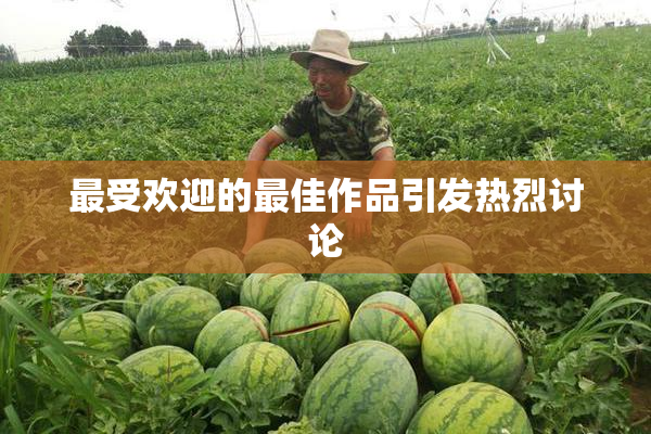 最受欢迎的最佳作品引发热烈讨论