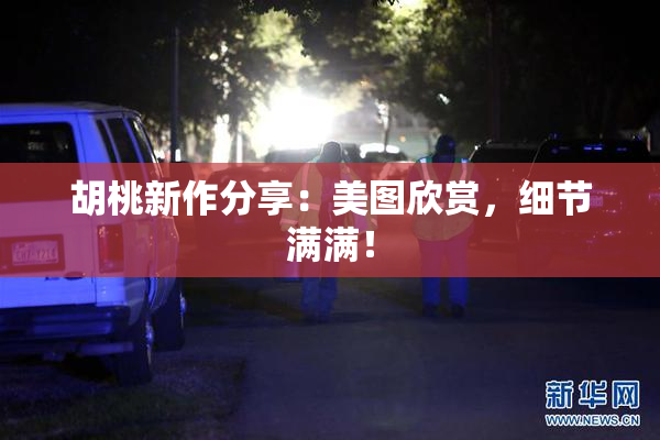胡桃新作分享：美图欣赏，细节满满！