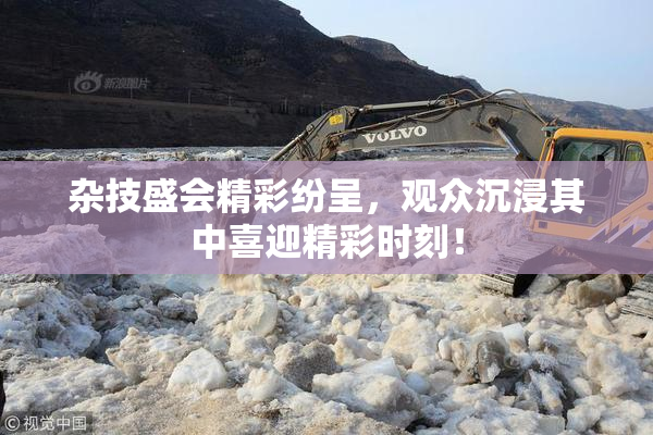 杂技盛会精彩纷呈，观众沉浸其中喜迎精彩时刻！