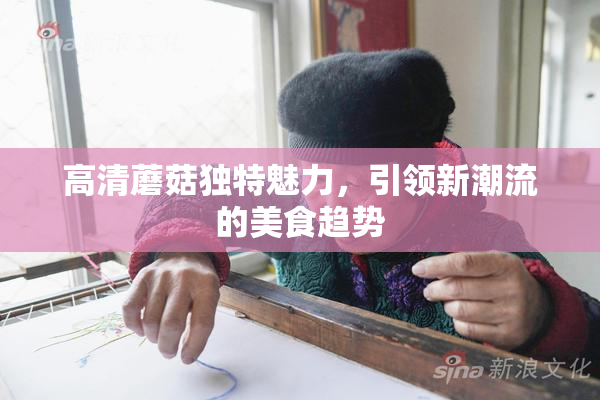 高清蘑菇独特魅力，引领新潮流的美食趋势