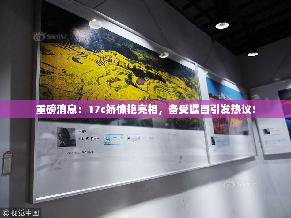 重磅消息：17c娇惊艳亮相，备受瞩目引发热议！