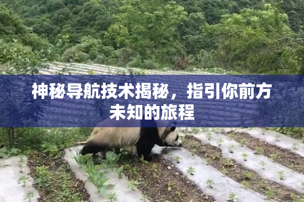 神秘导航技术揭秘，指引你前方未知的旅程