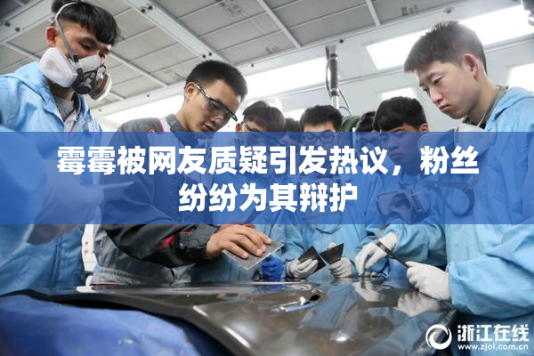 霉霉被网友质疑引发热议，粉丝纷纷为其辩护