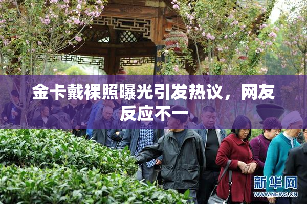金卡戴裸照曝光引发热议，网友反应不一
