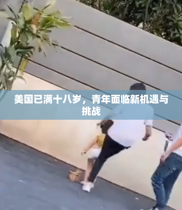 美国已满十八岁，青年面临新机遇与挑战