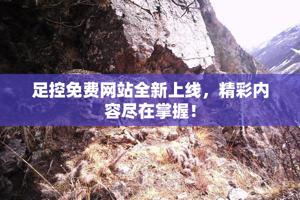 足控免费网站全新上线，精彩内容尽在掌握！