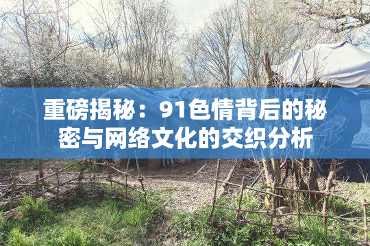 重磅揭秘：91色情背后的秘密与网络文化的交织分析