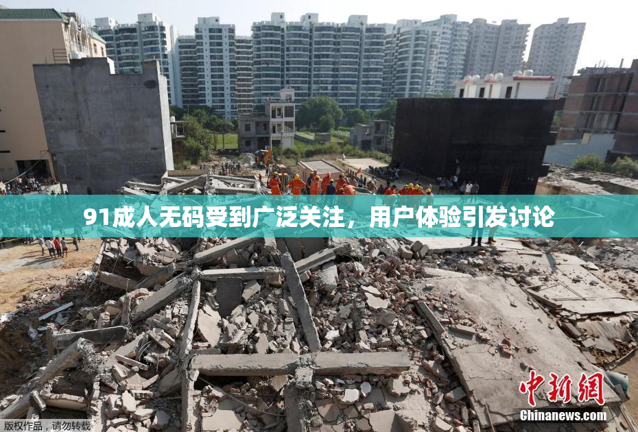 91成人无码受到广泛关注，用户体验引发讨论