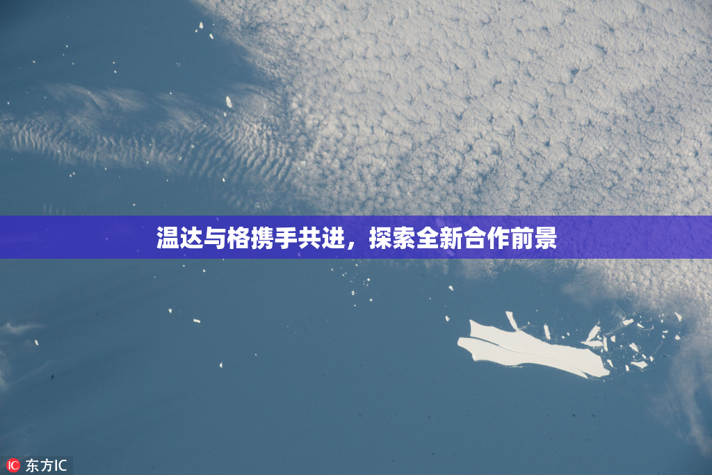 温达与格携手共进，探索全新合作前景