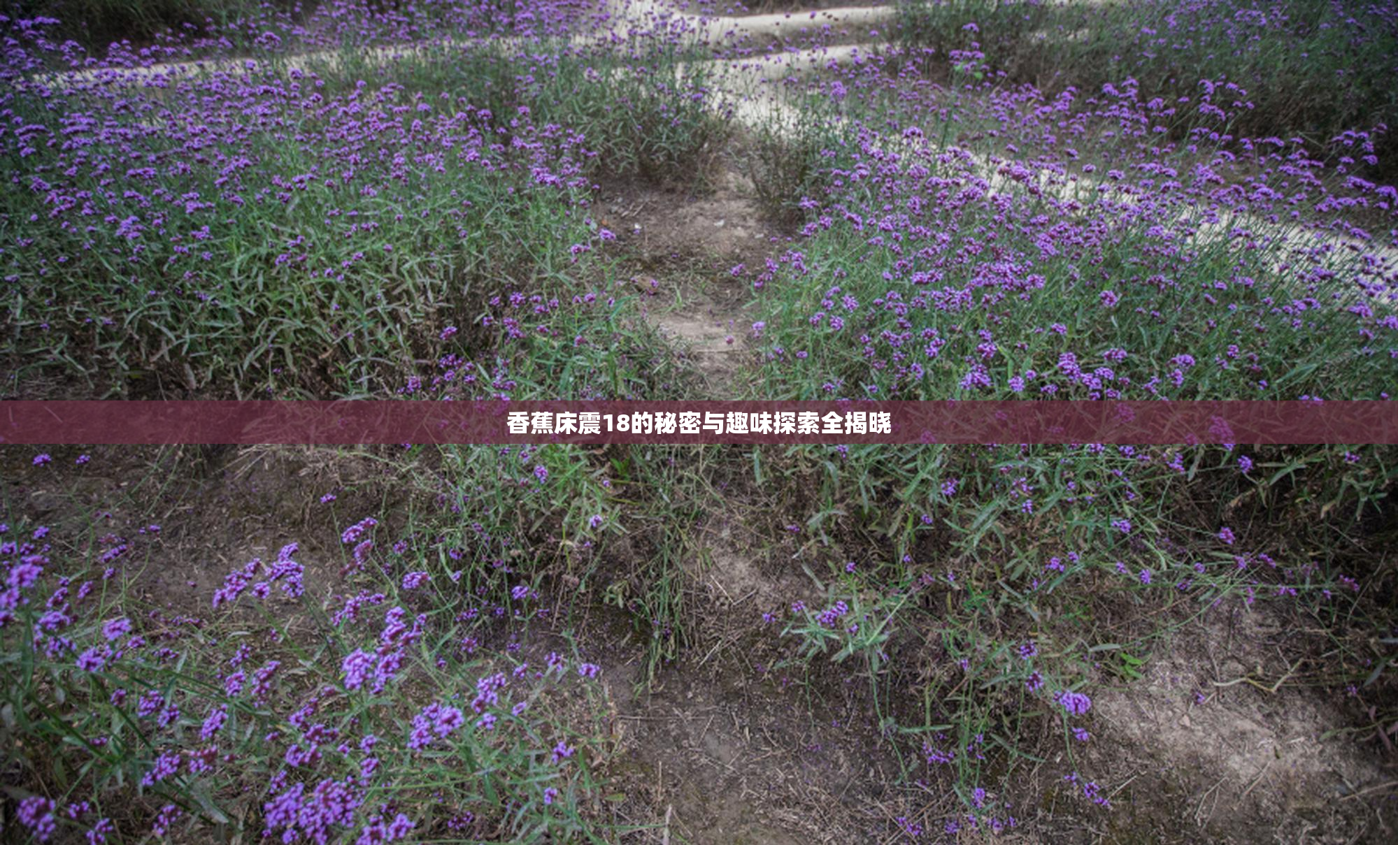 香蕉床震18的秘密与趣味探索全揭晓