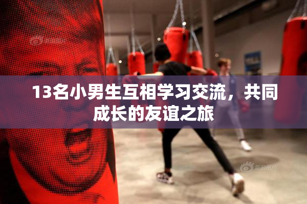 13名小男生互相学习交流，共同成长的友谊之旅