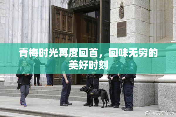 青梅时光再度回首，回味无穷的美好时刻