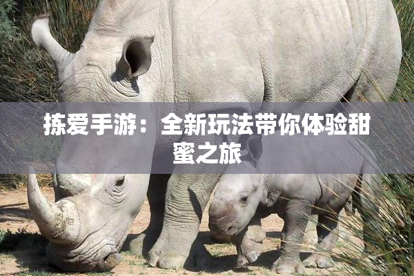 拣爱手游：全新玩法带你体验甜蜜之旅