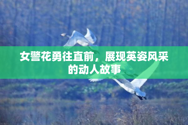 女警花勇往直前，展现英姿风采的动人故事