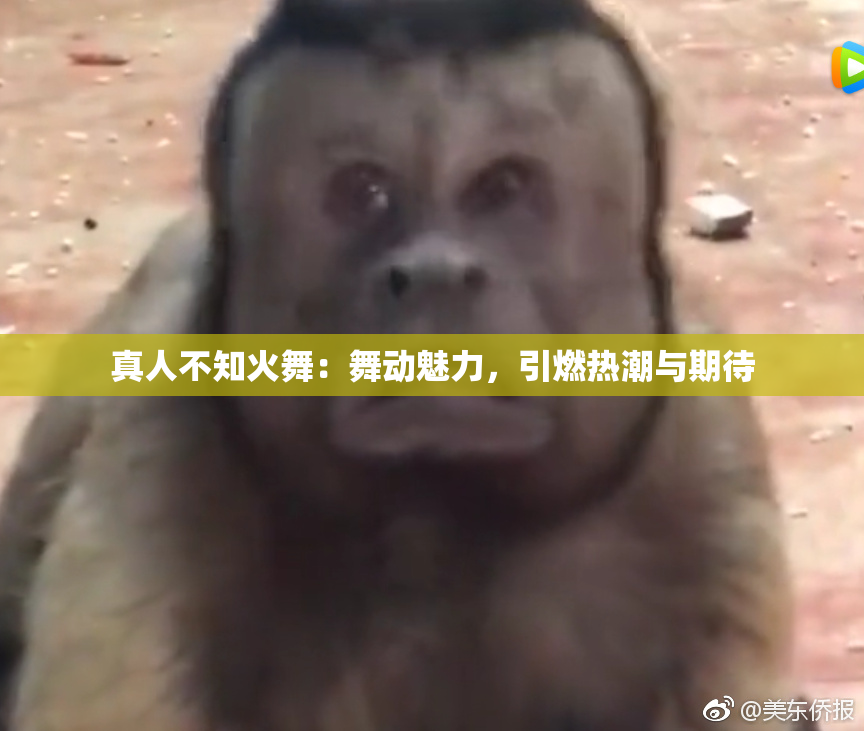 真人不知火舞：舞动魅力，引燃热潮与期待